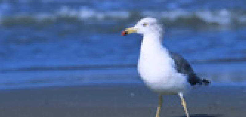 小樽観光→札幌近郊いいとこ取り