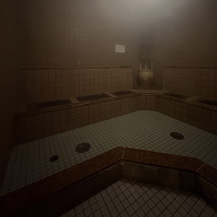 ミストサウナ01