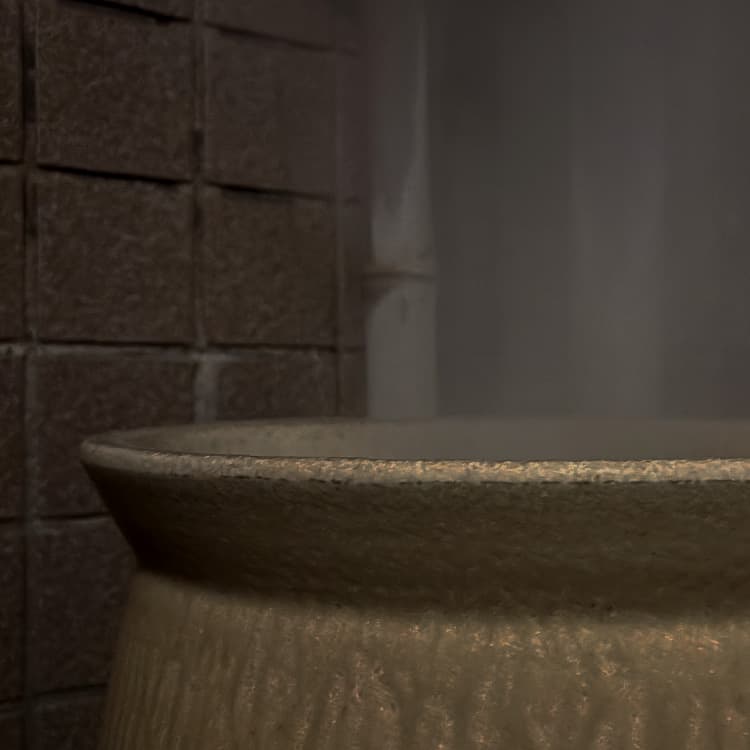 ミストサウナ02